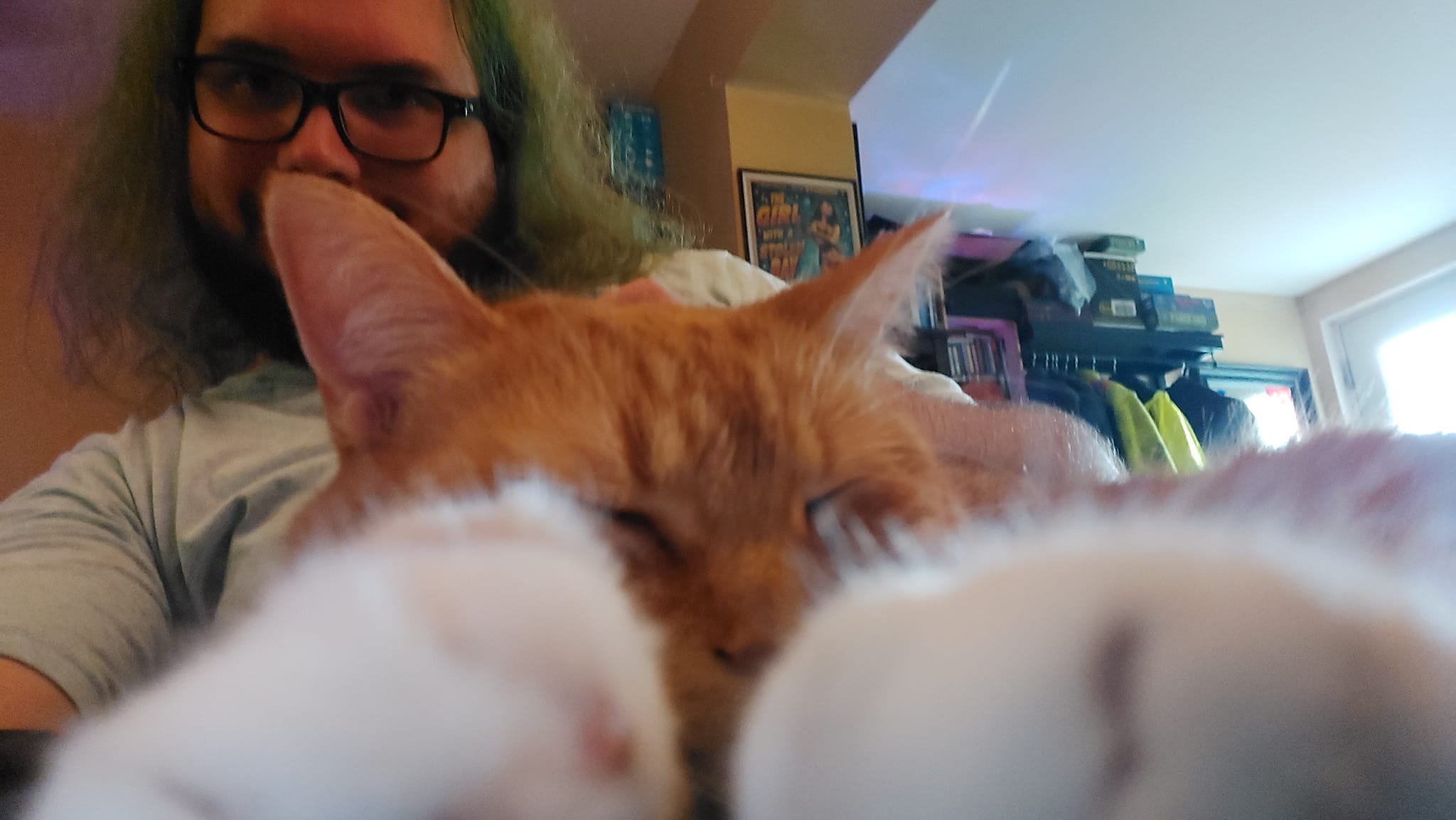 A man with green hair sits in a computer chair inside, with an orange cat in his lap, Photo 2